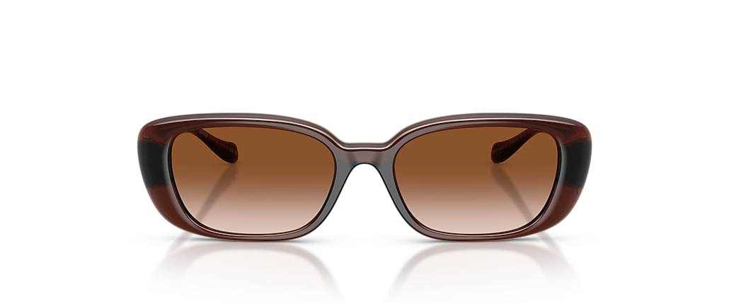 Versace VE4504D Transparent Brown Sunglasses