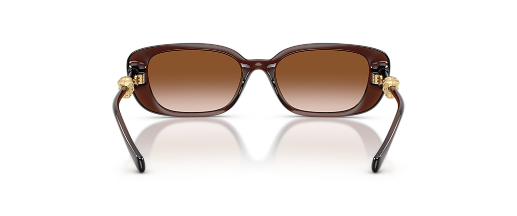 Versace VE4504D Transparent Brown Sunglasses