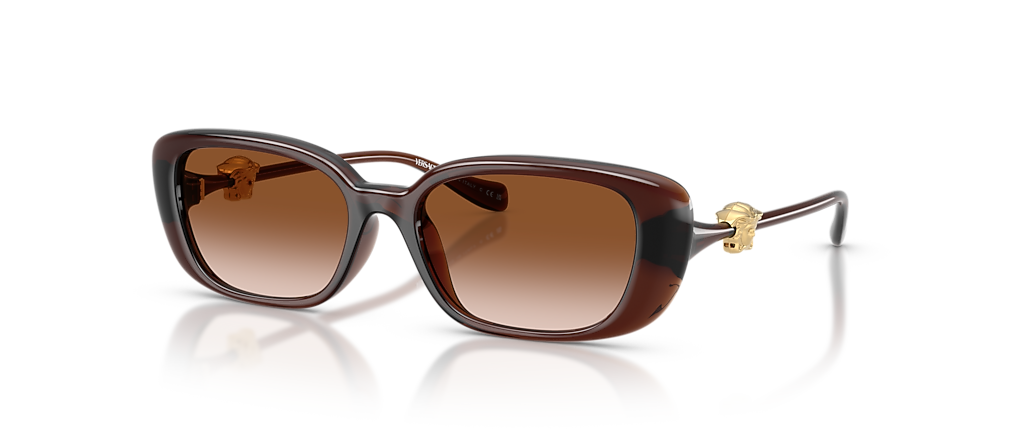 Versace VE4504D Transparent Brown Sunglasses
