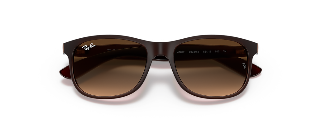 Ray-Ban RB4202 Andy Brown Sunglasses