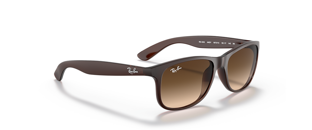Ray-Ban RB4202 Andy Brown Sunglasses