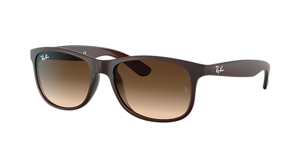 Ray-Ban RB4202 Andy