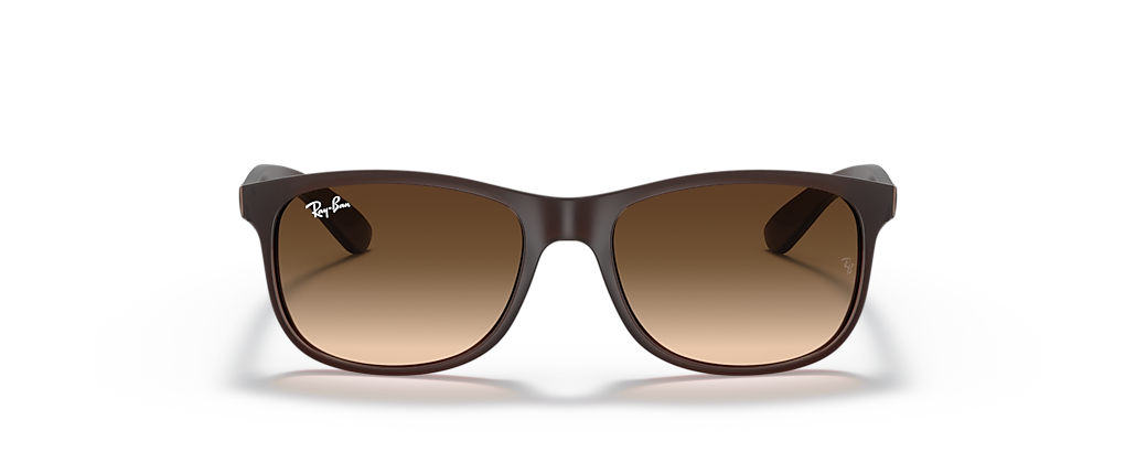 Ray-Ban RB4202 Andy Brown Sunglasses