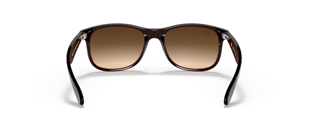 Ray-Ban RB4202 Andy Brown Sunglasses