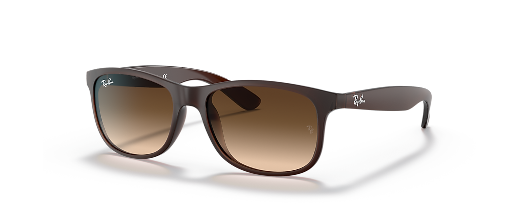 Ray-Ban RB4202 Andy Brown Sunglasses