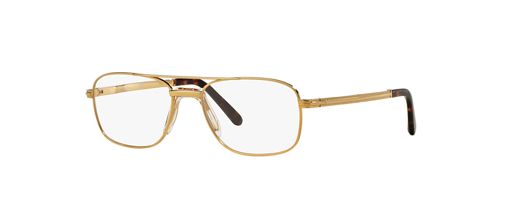 Sferoflex SF2272 Gold Frames