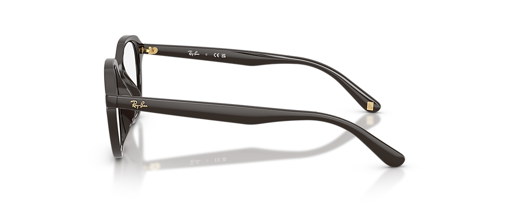 Ray-Ban RB7259D Optics Year Of The Horse Edition Full Dark Brown Frames