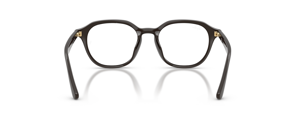 Ray-Ban RB7259D Optics Year Of The Horse Edition Full Dark Brown Frames