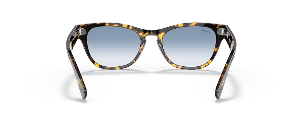 Ray-Ban RB2201 Laramie Yellow Havana Sunglasses Ray-Ban RB2201 Laramie Yellow Havana Sunglasses