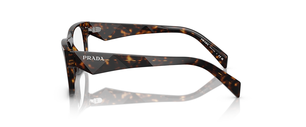 Prada PR 22ZVF Loden/Black Frames