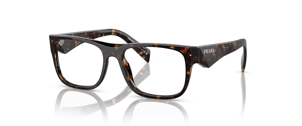 Prada PR 22ZVF Loden/Black Frames