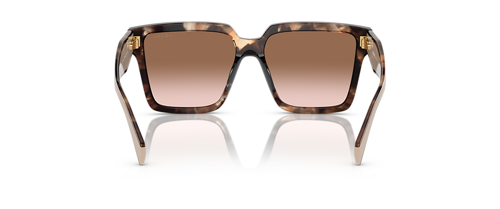 Prada PR 24ZSF Caramel Tortoise Sunglasses Prada PR 24ZSF Caramel Tortoise Sunglasses
