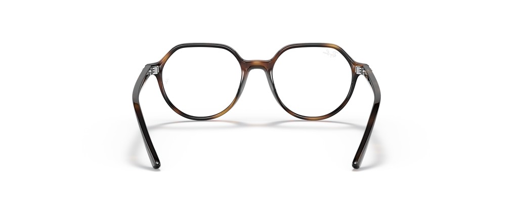Ray-Ban RB9095V Thalia Optics Kids Havana Frames