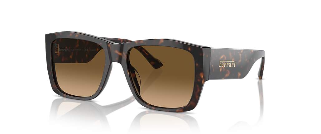 Ferrari FH2003U Havana Sunglasses