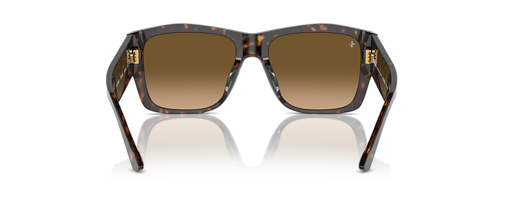 Ferrari FH2003U Havana Sunglasses
