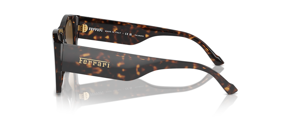 Ferrari FH2003U Havana Sunglasses