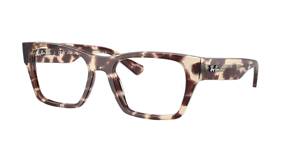 Ray-Ban RB5448 Optics