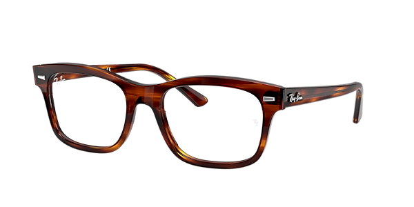 Ray-Ban RB5383 Burbank Optics