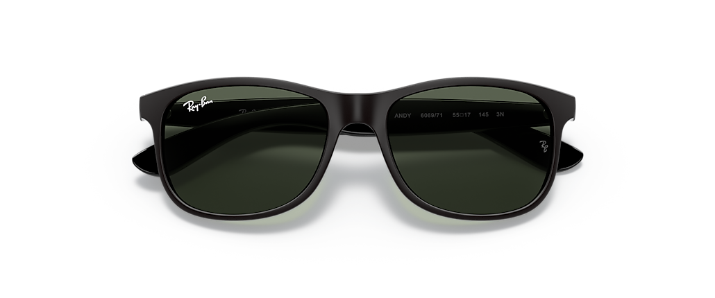 Ray-Ban RB4202 Andy Black Sunglasses Ray-Ban RB4202 Andy Black Sunglasses