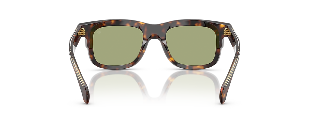 Moncler ME6004F Claro Brown Tortoise Sunglasses