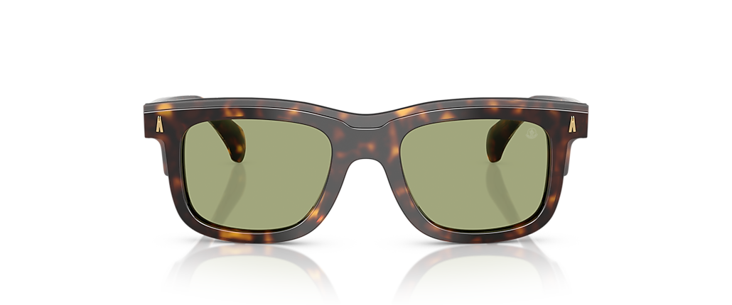 Moncler ME6004F Claro Brown Tortoise Sunglasses