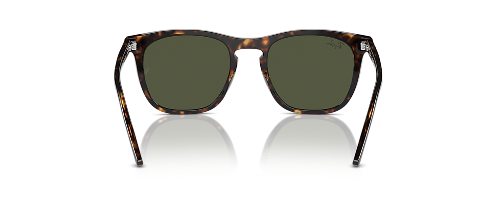 Ray-Ban RB2210 Havana Sunglasses