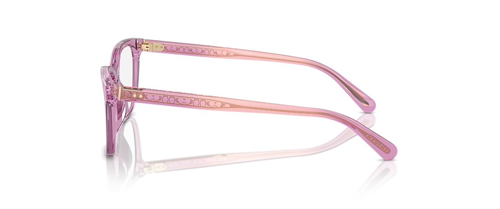 Coach HC6235U Transparent Amethyst Frames Coach HC6235U Transparent Amethyst Frames