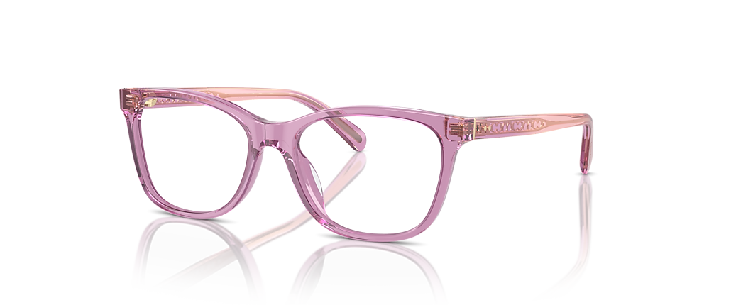 Coach HC6235U Transparent Amethyst Frames Coach HC6235U Transparent Amethyst Frames