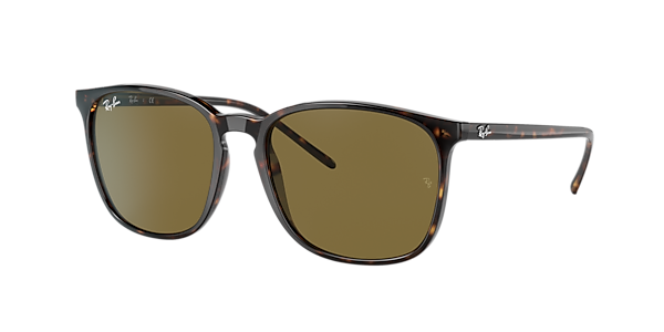 Ray-Ban RB4387F Ray-Ban RB4387F