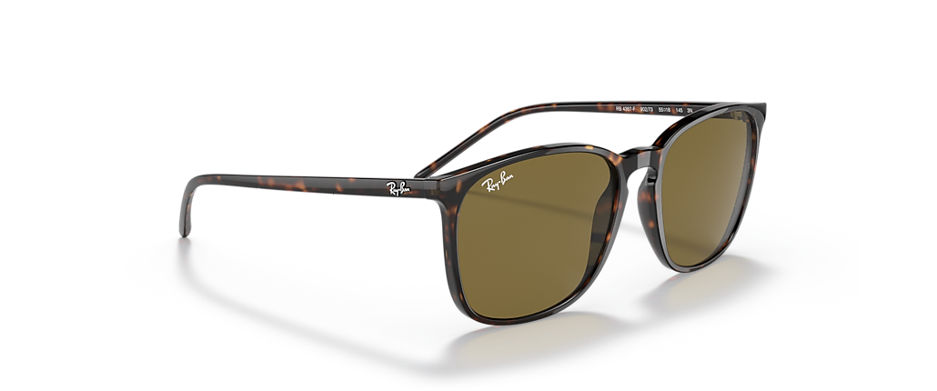 Ray-Ban RB4387F Tortoise Sunglasses Ray-Ban RB4387F Tortoise Sunglasses