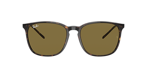Ray-Ban RB4387F Ray-Ban RB4387F