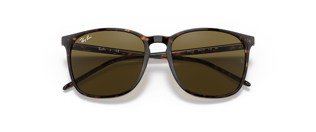 Ray-Ban RB4387F Tortoise Sunglasses Ray-Ban RB4387F Tortoise Sunglasses