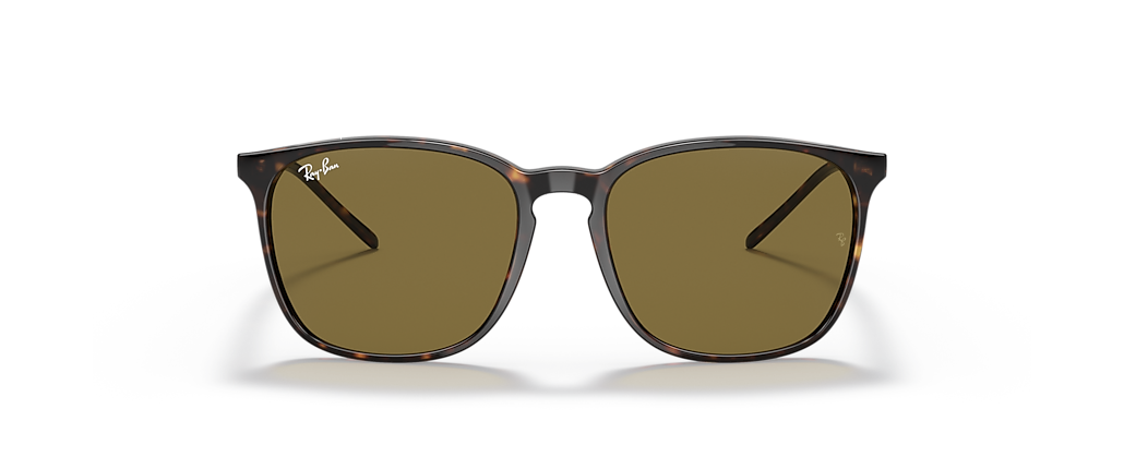 Ray-Ban RB4387F Tortoise Sunglasses Ray-Ban RB4387F Tortoise Sunglasses