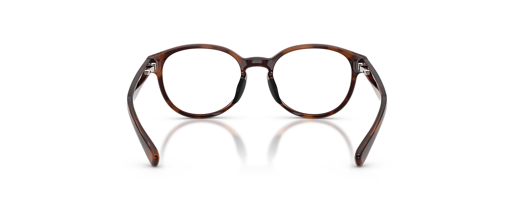 Polo Ralph Lauren PP8550U Shiny Caramel Havana Frames