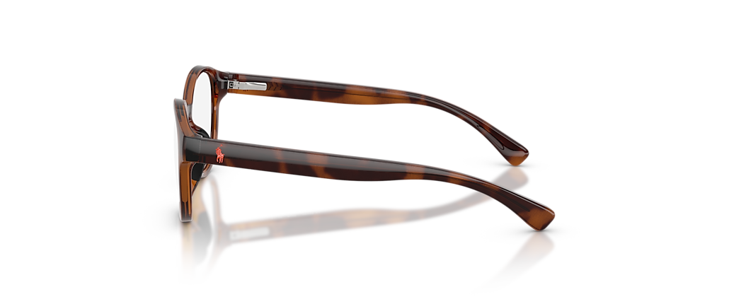 Polo Ralph Lauren PP8550U Shiny Caramel Havana Frames