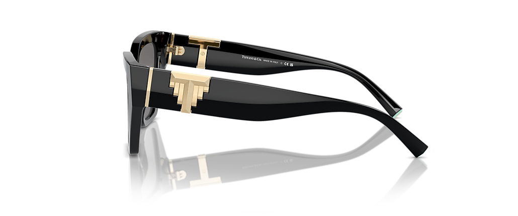 Tiffany & Co. TF4218 Black Sunglasses Tiffany & Co. TF4218 Black Sunglasses