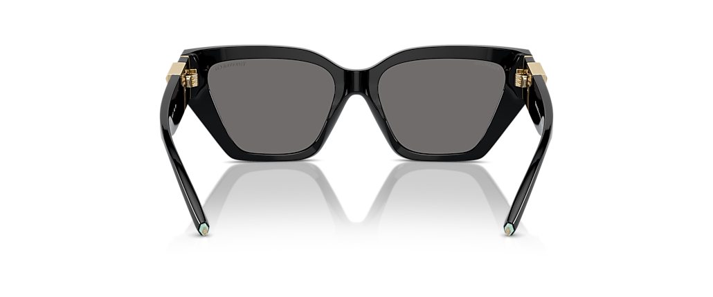 Tiffany & Co. TF4218 Black Sunglasses Tiffany & Co. TF4218 Black Sunglasses