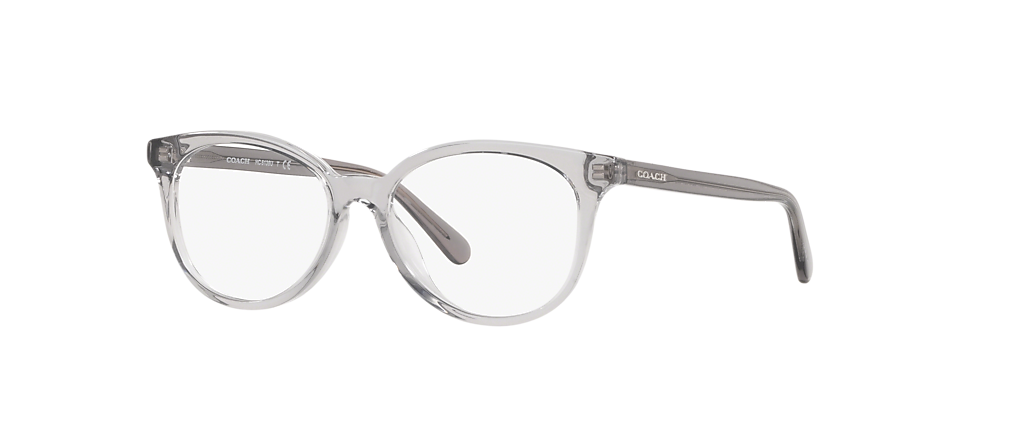 Coach HC6138U Transparent Grey Frames