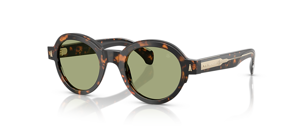 Moncler ME6003F Rondosa Brown Green Havana Sunglasses Moncler ME6003F Rondosa Brown Green Havana Sunglasses