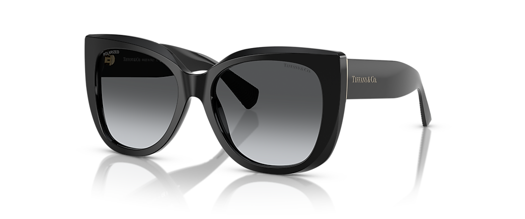 Tiffany & Co. TF4229 Black Sunglasses Tiffany & Co. TF4229 Black Sunglasses