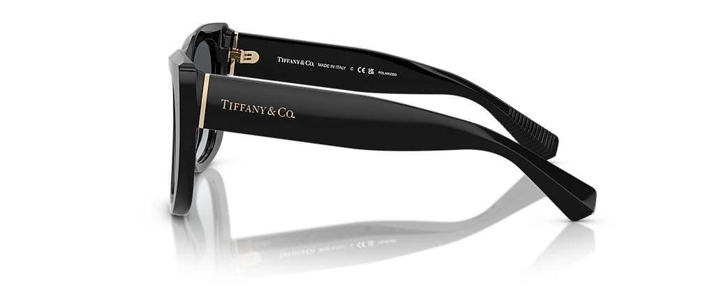 Tiffany & Co. TF4229 Black Sunglasses Tiffany & Co. TF4229 Black Sunglasses