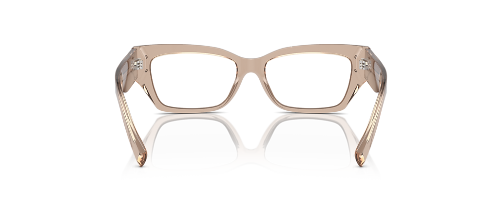 Dolce&Gabbana DG3387 Transparent Camel Frames Dolce&Gabbana DG3387 Transparent Camel Frames