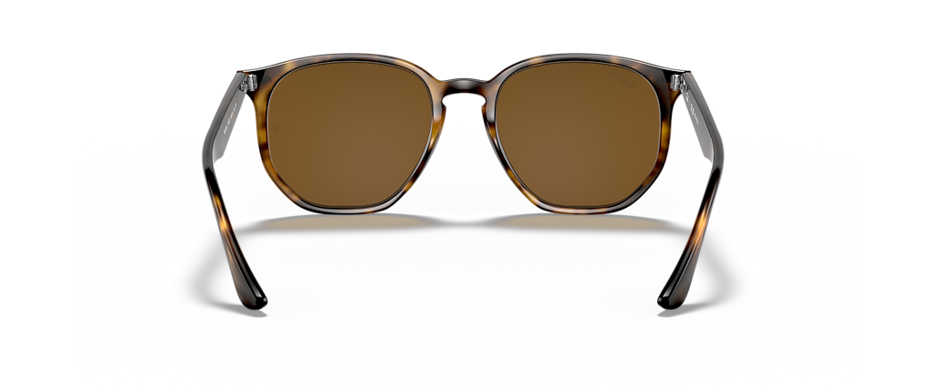 Ray-Ban RB4306 Light Havana Sunglasses Ray-Ban RB4306 Light Havana Sunglasses