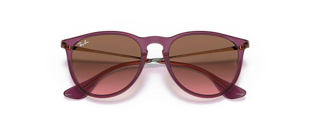 Ray-Ban RB4171 Erika Classic Transparent Violet Sunglasses Ray-Ban RB4171 Erika Classic Transparent Violet Sunglasses
