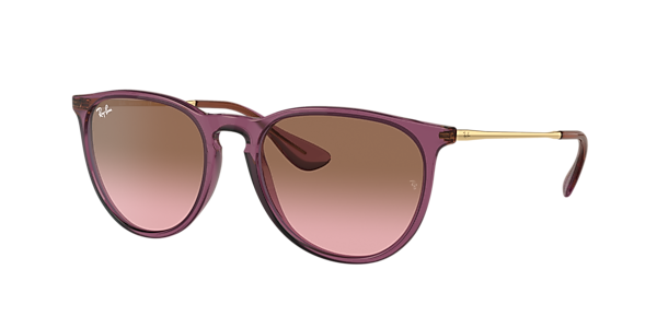 Ray-Ban RB4171 Erika Classic