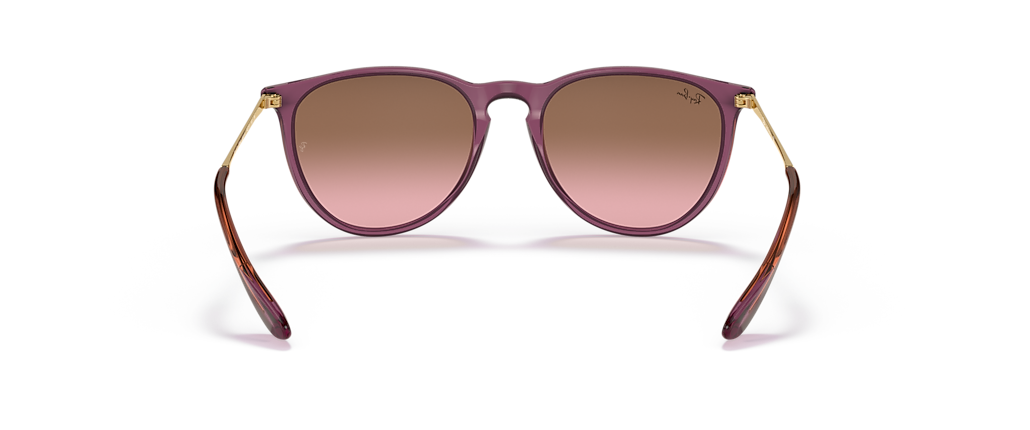 Ray-Ban RB4171 Erika Classic Transparent Violet Sunglasses Ray-Ban RB4171 Erika Classic Transparent Violet Sunglasses