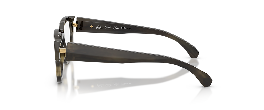 Alain Mikli A03504CO Light Brown Horn Frames