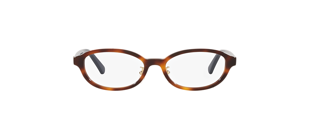 Gucci GG0930OJ Brown Frames