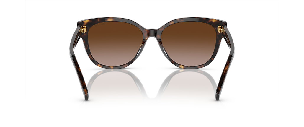 Ralph RA5305U Black Havana Sunglasses Ralph RA5305U Black Havana Sunglasses