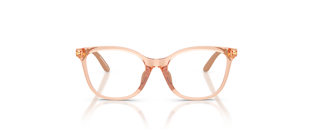 Emporio Armani EK3011U Shiny Transparent Beige Frames